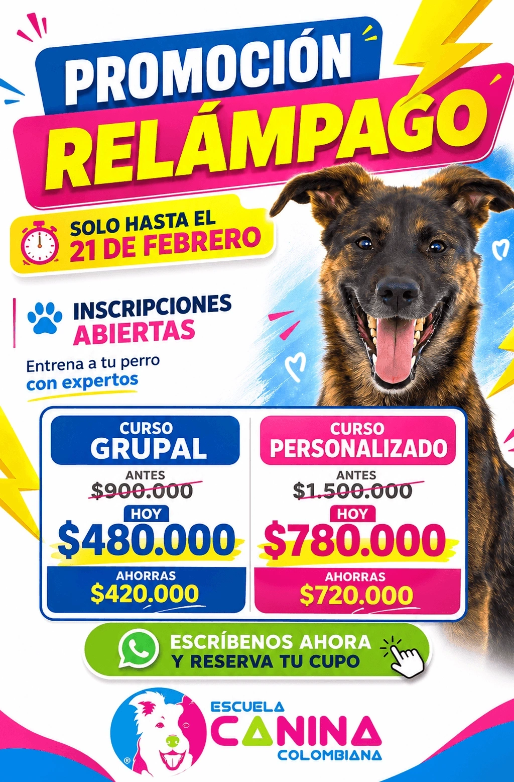 Diseno promocion relampago escuela canina — Andrés Rodríguez Suazo