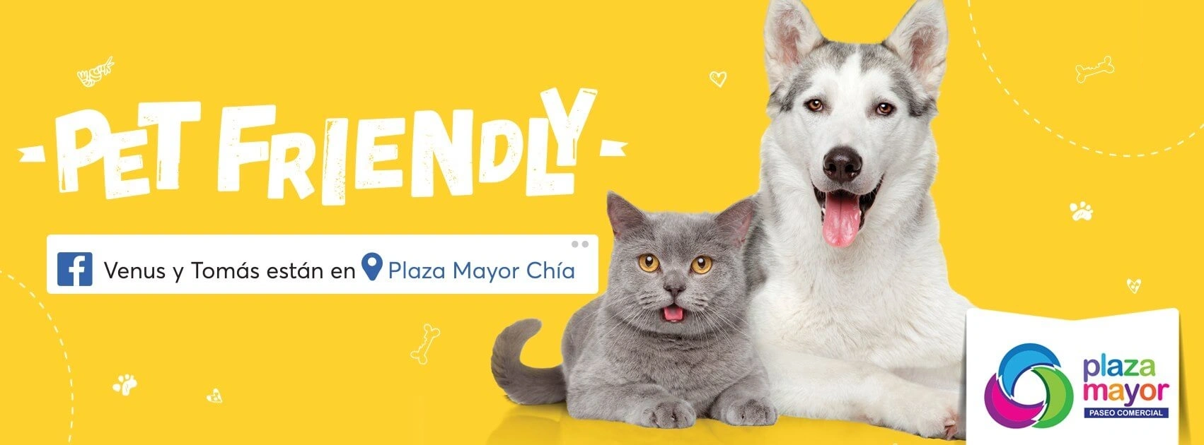 Plaza mayor pet friendly banner — Andrés Rodríguez Suazo