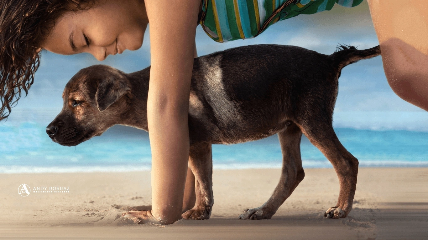 Nina jugando con perro en la playa — Andrés Rodríguez Suazo